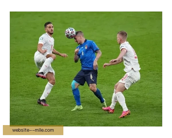 西班牙点球遗憾不敌意大利 无缘欧洲杯决赛对决