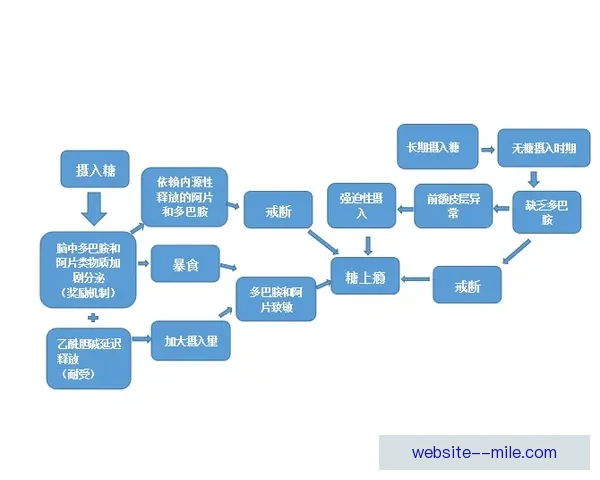 如何观看欧联杯直播全攻略合法平台时间渠道一站式指南详尽解析